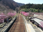 20130404_115320.jpg