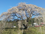 20130413_074212.jpg