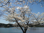 20130413_103118.jpg