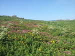 20130807_081758.jpg