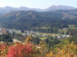 20131102_125548.jpg