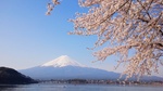 IMG_20150418_102645.JPG