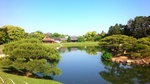 IMG_20150514_085832.JPG