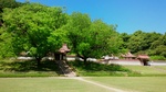 IMG_20150520_100752.JPG