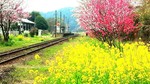 IMG_20160330_091910.jpg