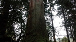 DSC_1038.jpg