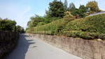 DSC_1047.jpg
