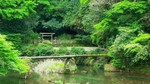 IMG_20160409_220803.jpg